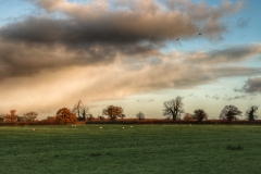 File 24-11-2017, 17 07 25