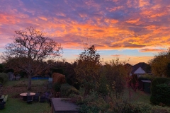 November 2018 Window