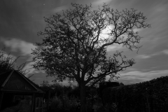 2019-11-13-21.37.19-1