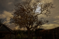 2019-11-13-21.40.20-1-1