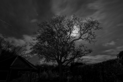 CA5D9381-edit-mono