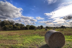 File 01-10-2017, 12 07 51