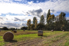 File 01-10-2017, 12 08 17