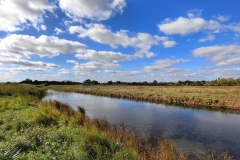 File 06-10-2017, 18 05 25