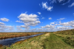 File 06-10-2017, 18 15 13