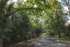 File 08-10-2017, 10 58 23