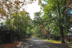 File 08-10-2017, 11 00 41