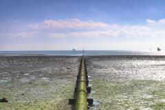 File 14-10-2017, 15 39 54