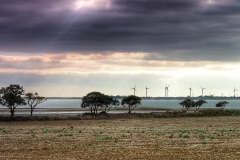 File 14-10-2017, 17 39 55