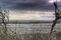 File 14-10-2017, 17 48 42