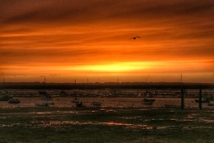 File 16-10-2017, 19 26 08