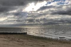 File 20-10-2017, 10 23 56