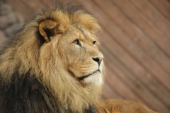 File 23-10-2017, 19 04 46