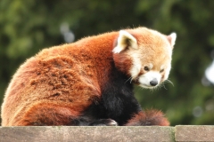 File 23-10-2017, 19 05 12