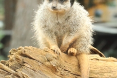 File 23-10-2017, 19 08 21