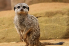 File 23-10-2017, 19 08 34