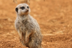 File 23-10-2017, 19 08 50