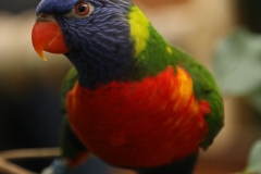 File 23-10-2017, 20 03 32