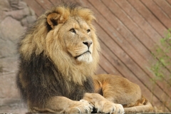 File 23-10-2017, 20 11 21