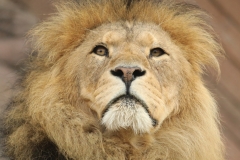 File 24-10-2017, 12 45 07