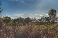 File 27-10-2017, 16 42 06