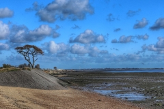 File 27-10-2017, 16 44 14