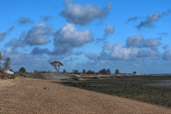 File 27-10-2017, 16 46 19