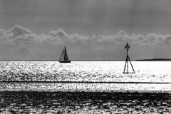 File 27-10-2017, 16 49 19