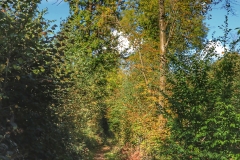 File 01-10-2017, 09 48 24