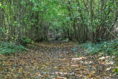 File 01-10-2017, 09 49 08