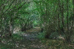 File 01-10-2017, 09 51 11