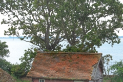 File 16-09-2017, 18 53 12