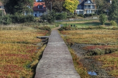 File 24-09-2017, 12 16 47