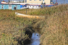 File 24-09-2017, 12 18 39