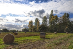 File 30-09-2017, 16 38 43