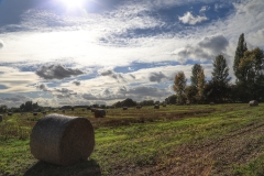 File 30-09-2017, 16 41 25