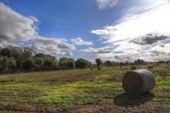 File 30-09-2017, 16 43 08