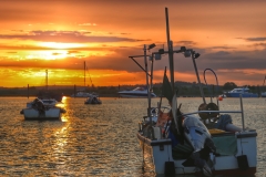 File 03-06-2017, 21 55 56