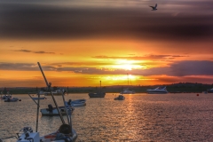 File 03-06-2017, 23 31 42