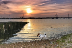 File 20-06-2017, 21 54 44