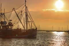 File 01-06-2017, 09 25 11