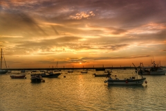 File 12-05-2017, 09 11 13