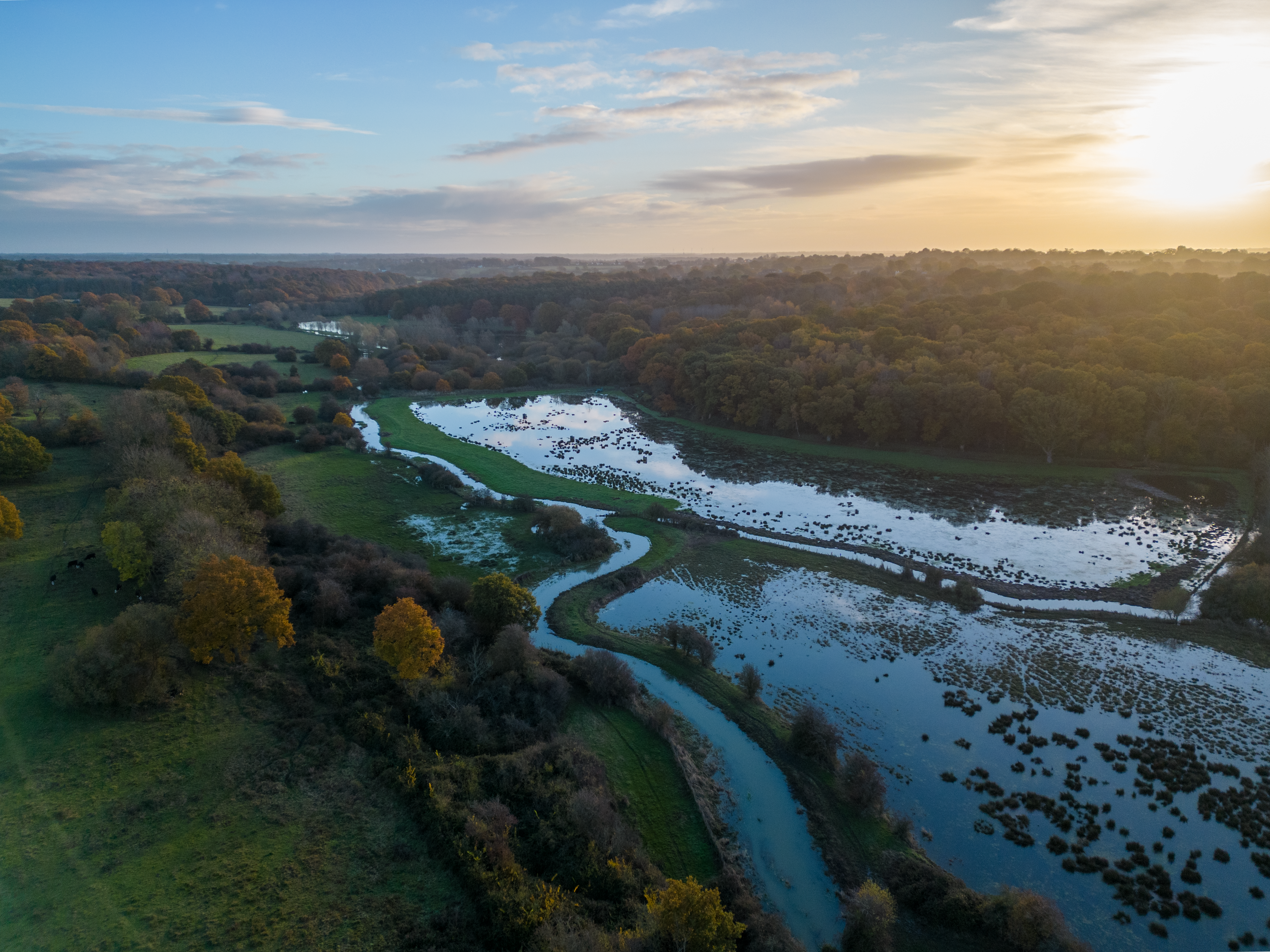 DJI_0334-HDR-LRG