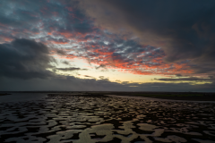DJI_0302-HDR